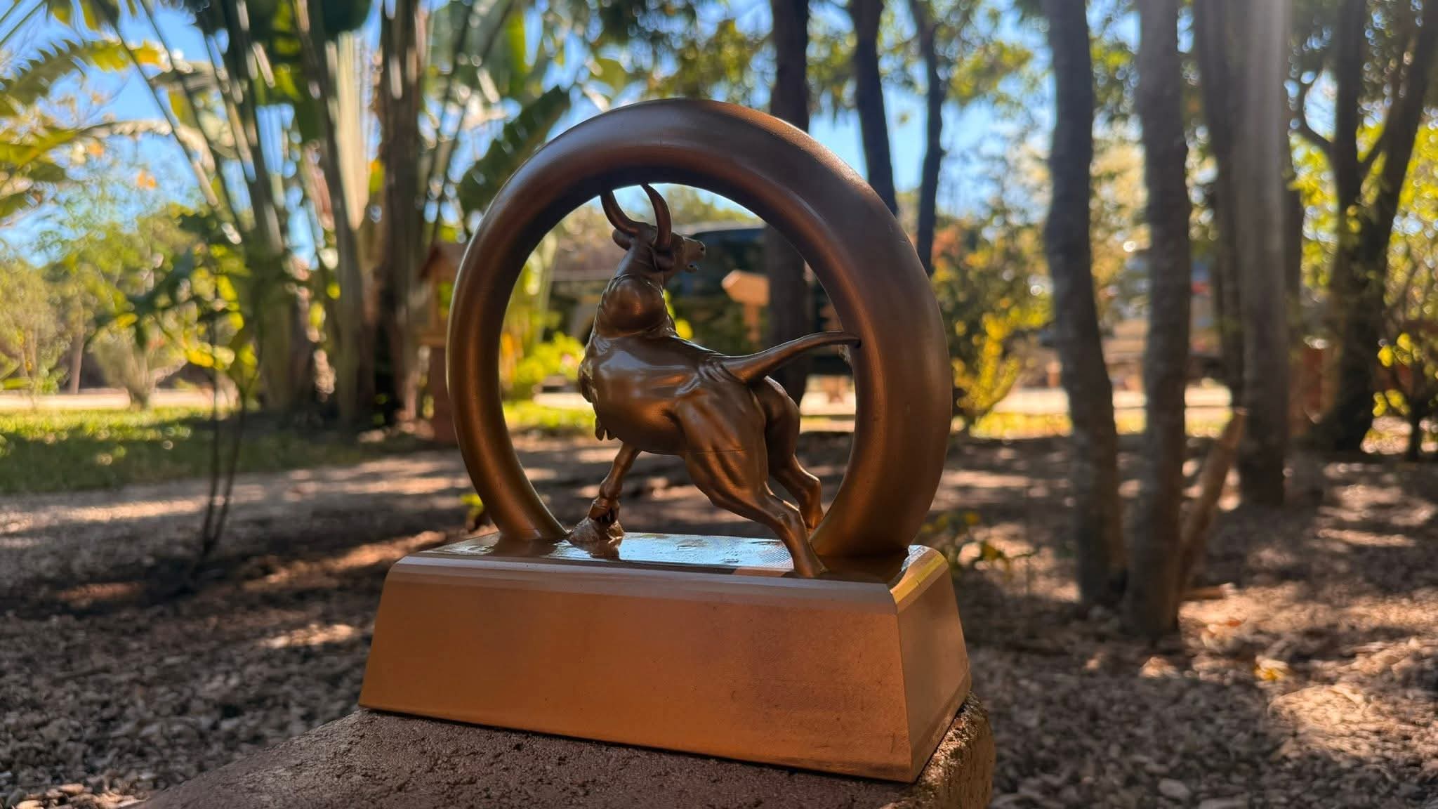 Image supplémentaire 7