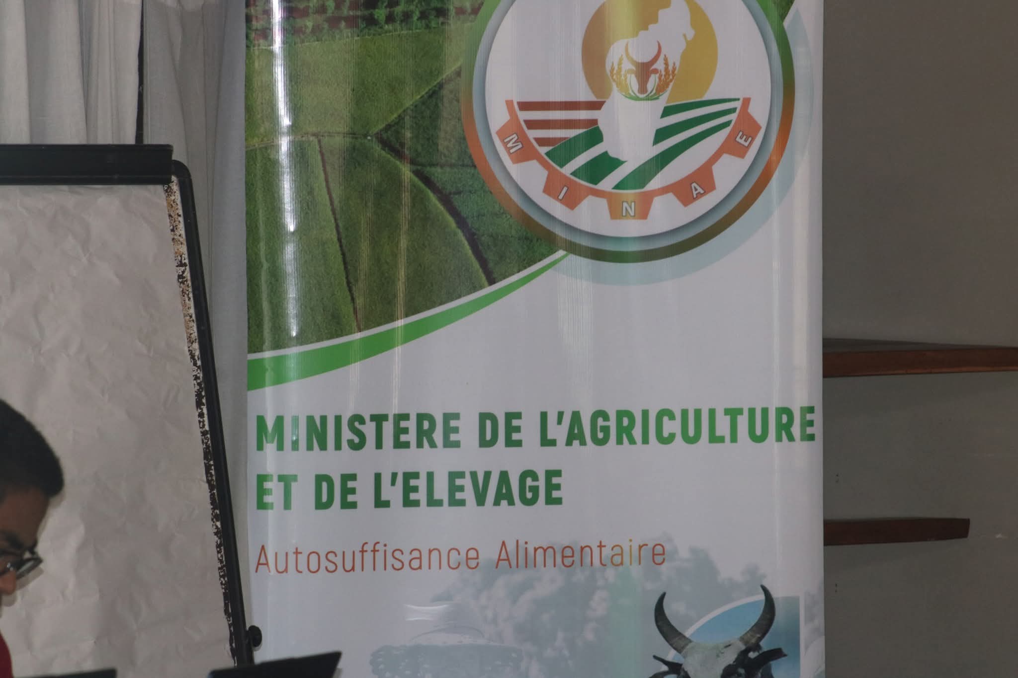 Image supplémentaire 7