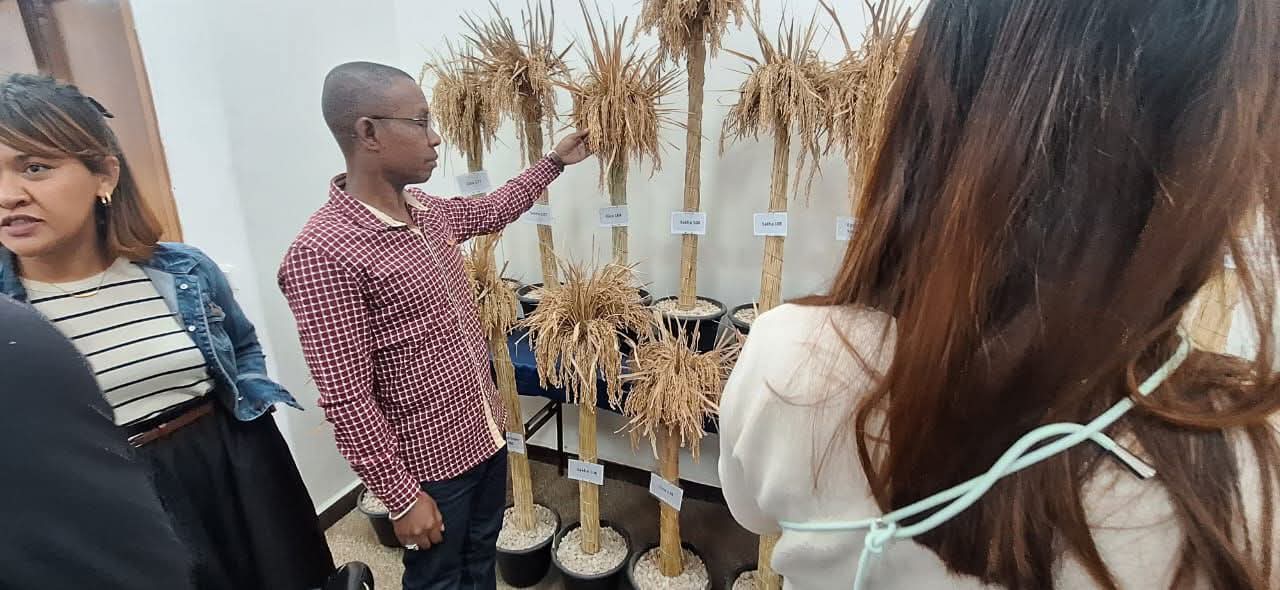 Fifanakalozana sy fanamafisana traikefa momba ny fitantanana sy ny fikirakirana ny  "Banque alimentaire" tany Egypte