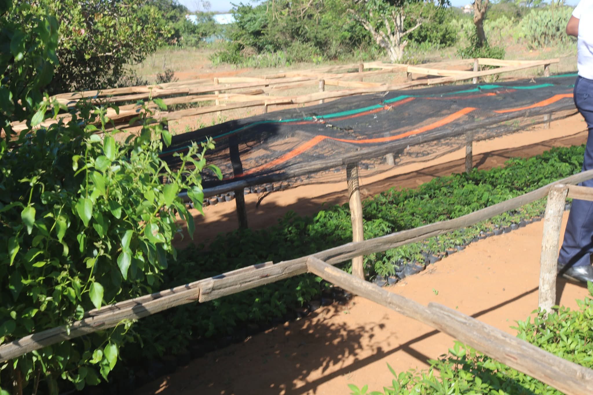 Image supplémentaire 7