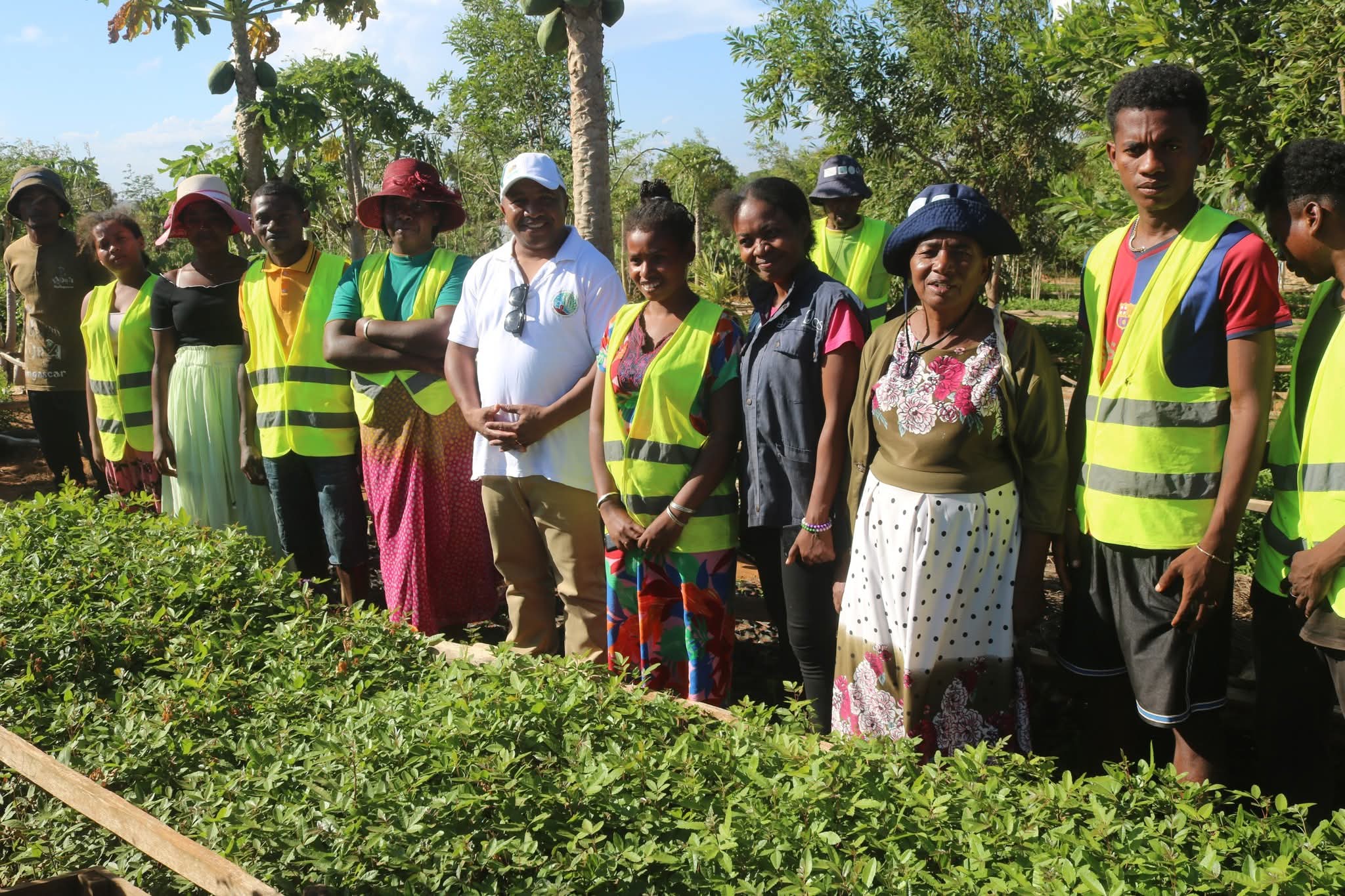 Image supplémentaire 11