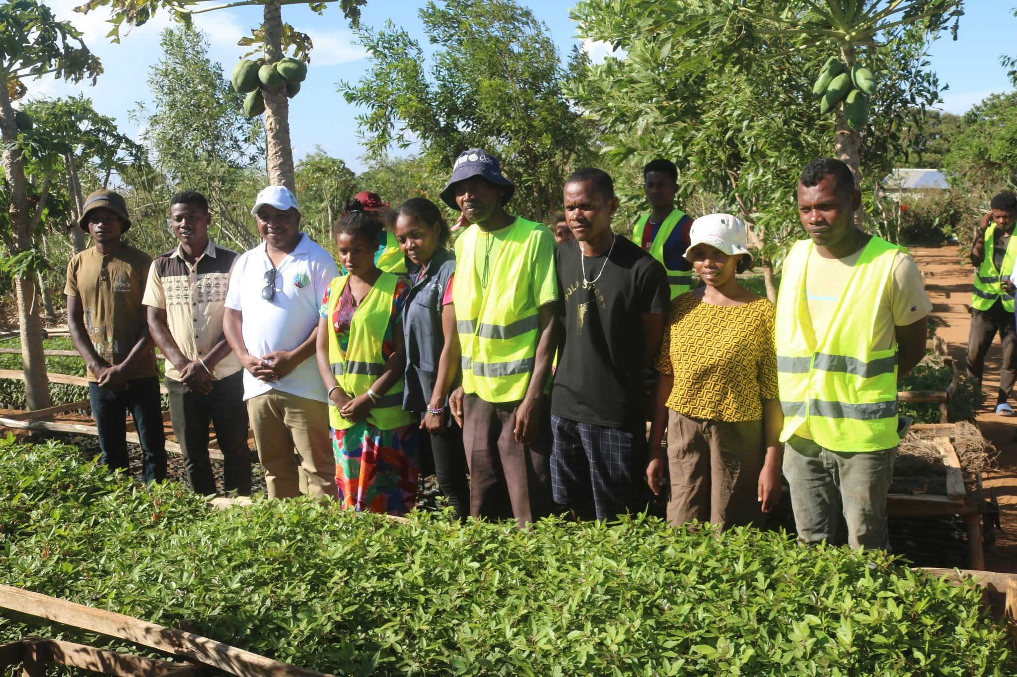 Image supplémentaire 12