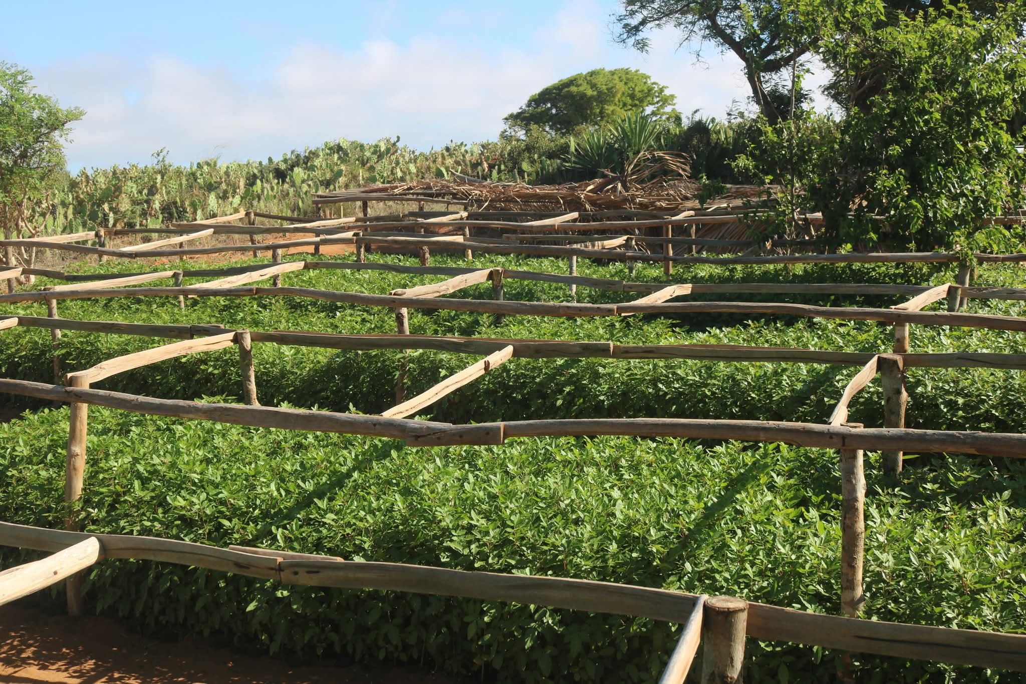 Image supplémentaire 13