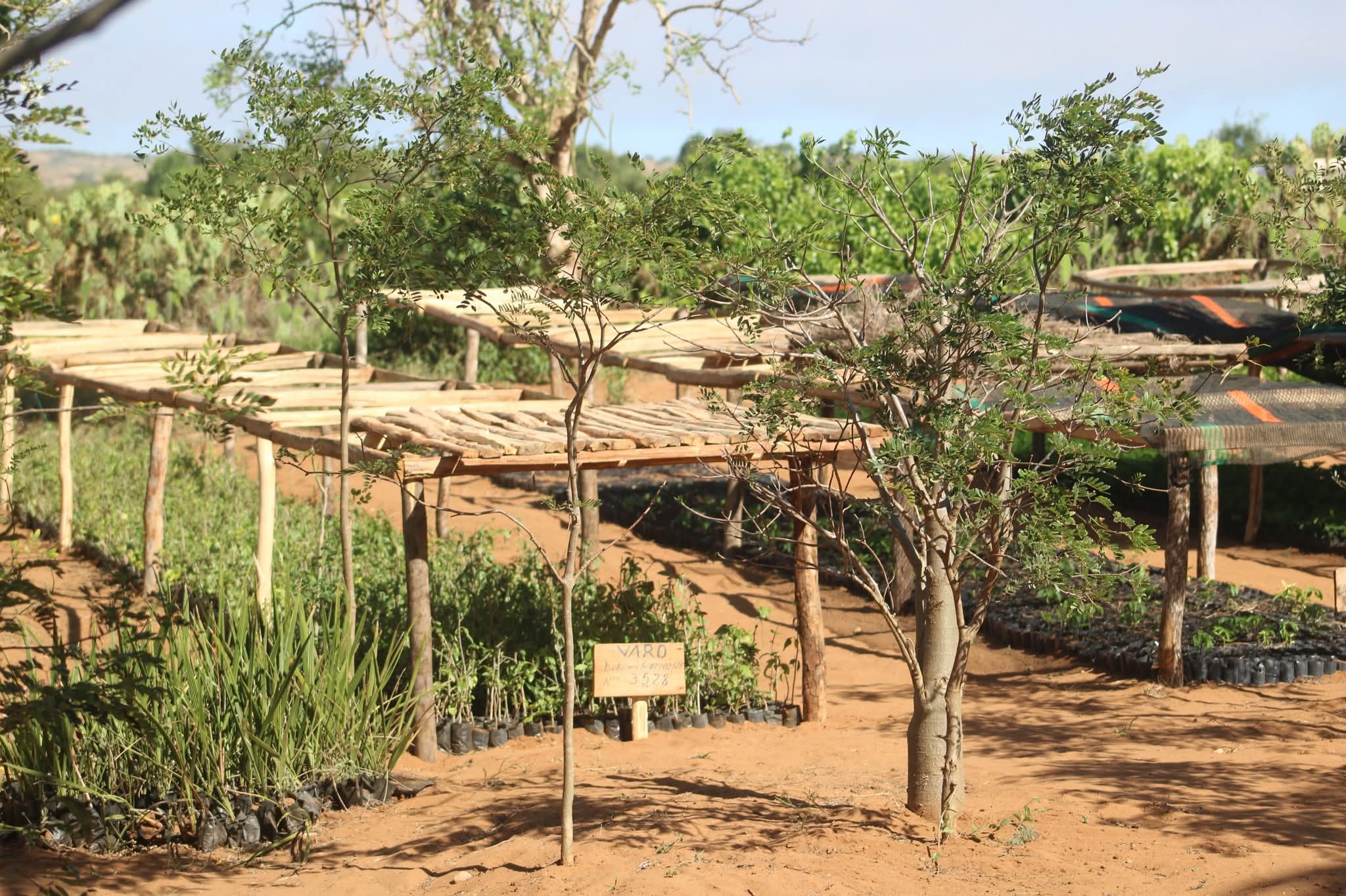 Image supplémentaire 16