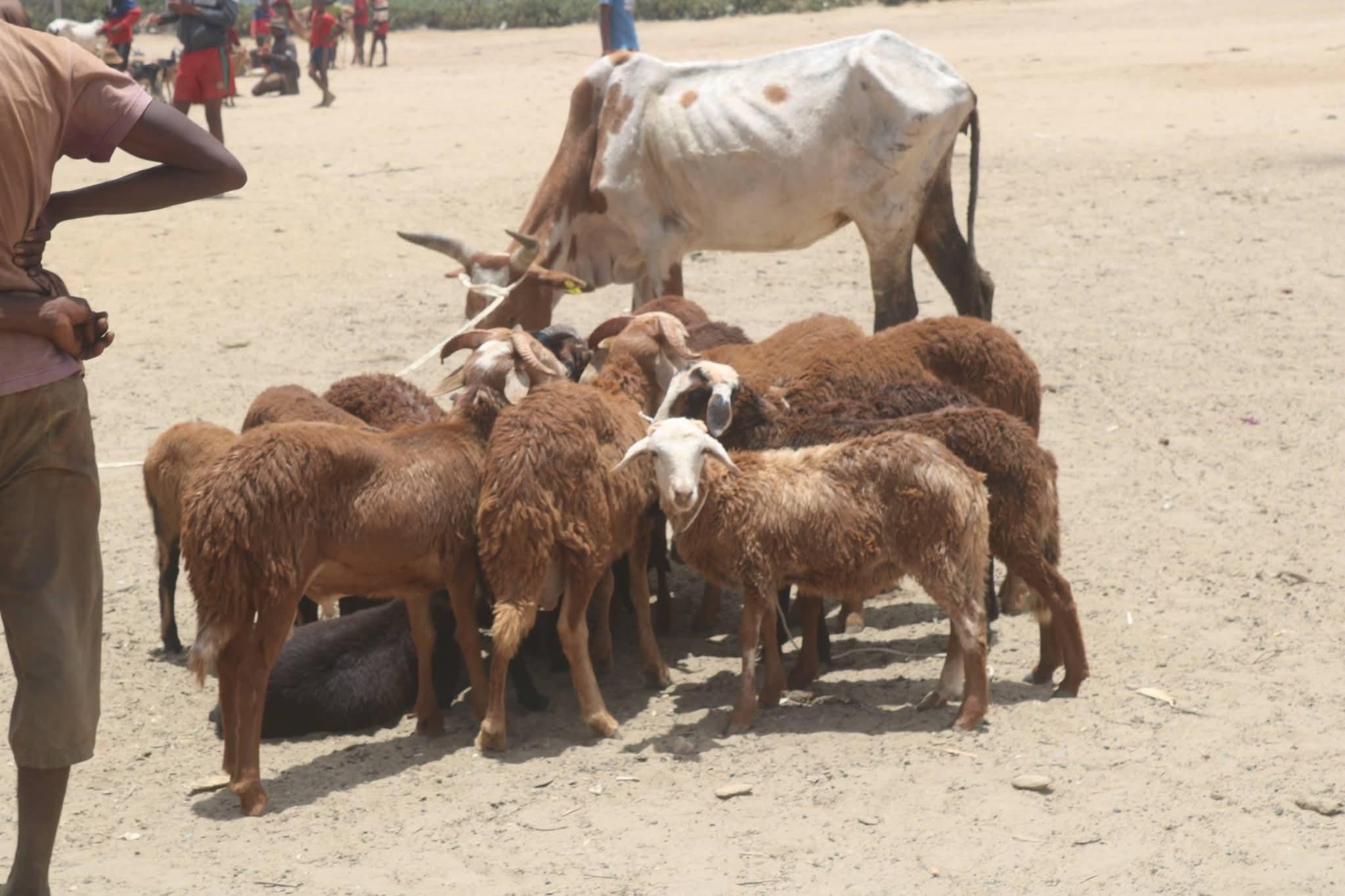 05 Janoary 2025 - FIDINANA IFOTONY HO FANARAHAMASO NY FIB NATAON'NY OMC ANDROY