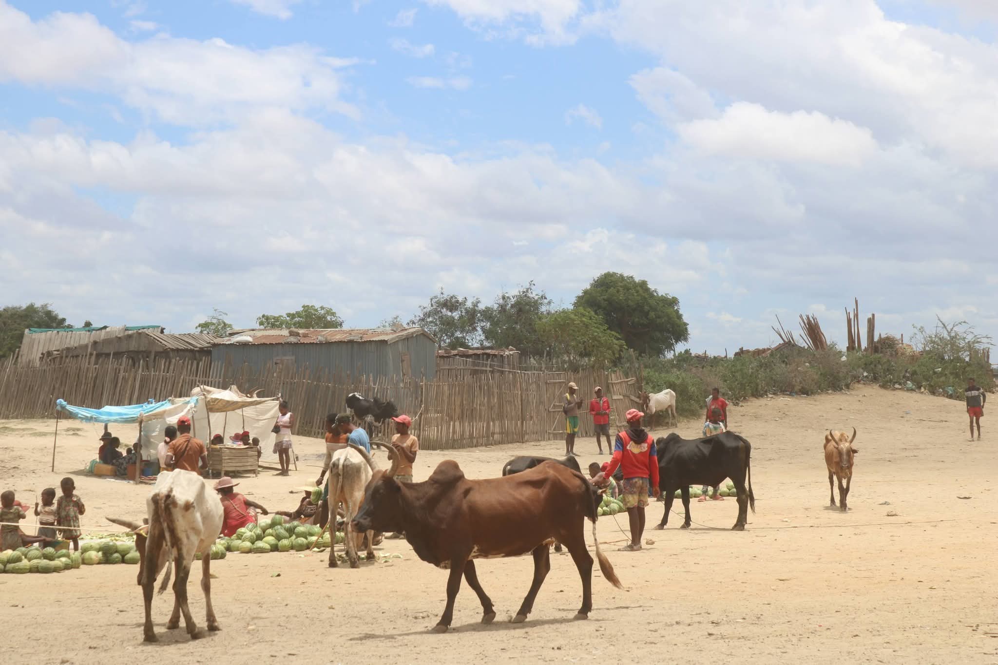 Image supplémentaire 4