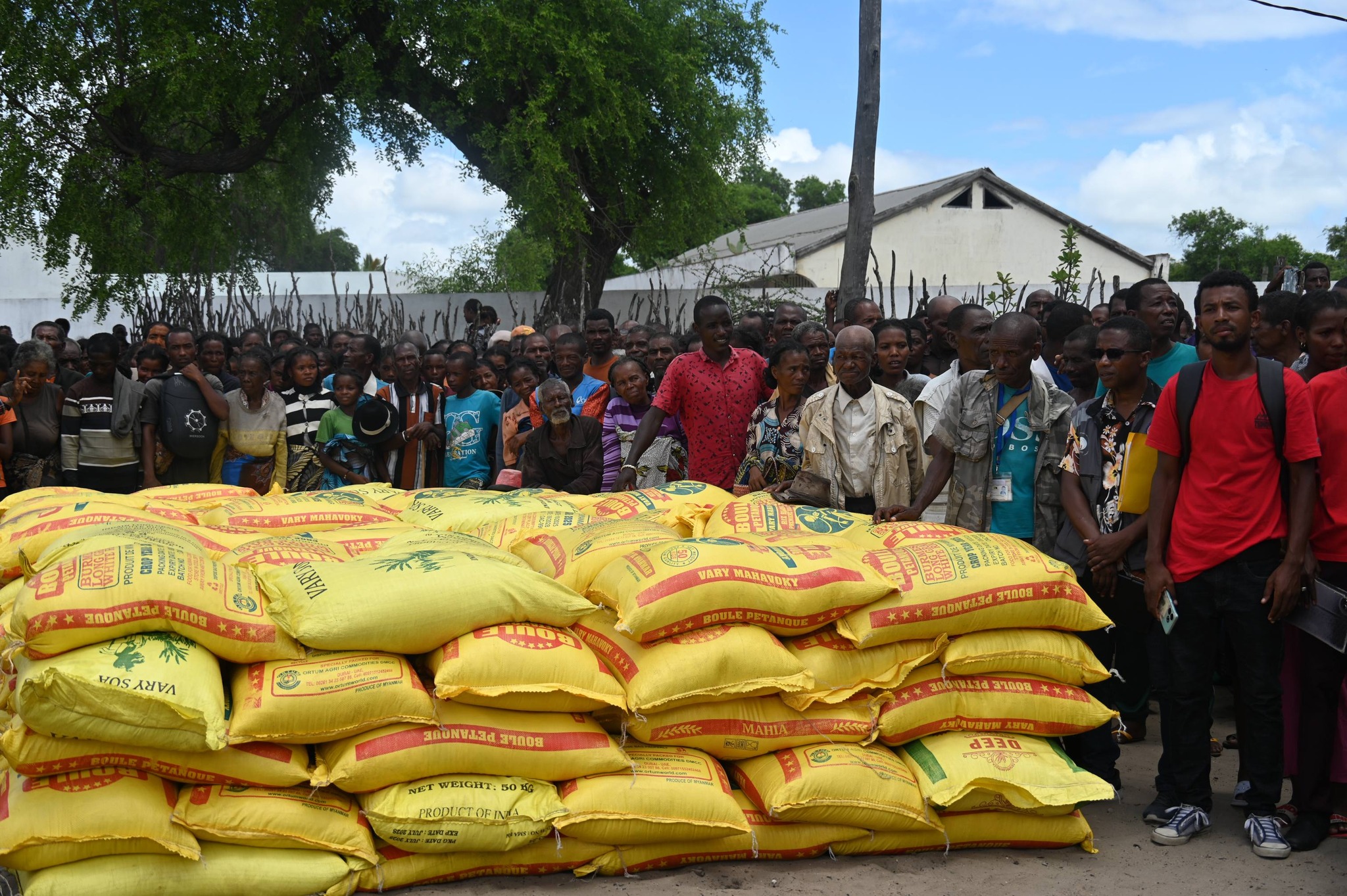 Image supplémentaire 15