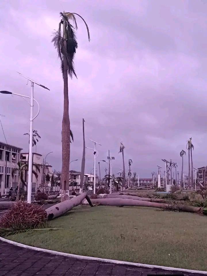 Image supplémentaire 6