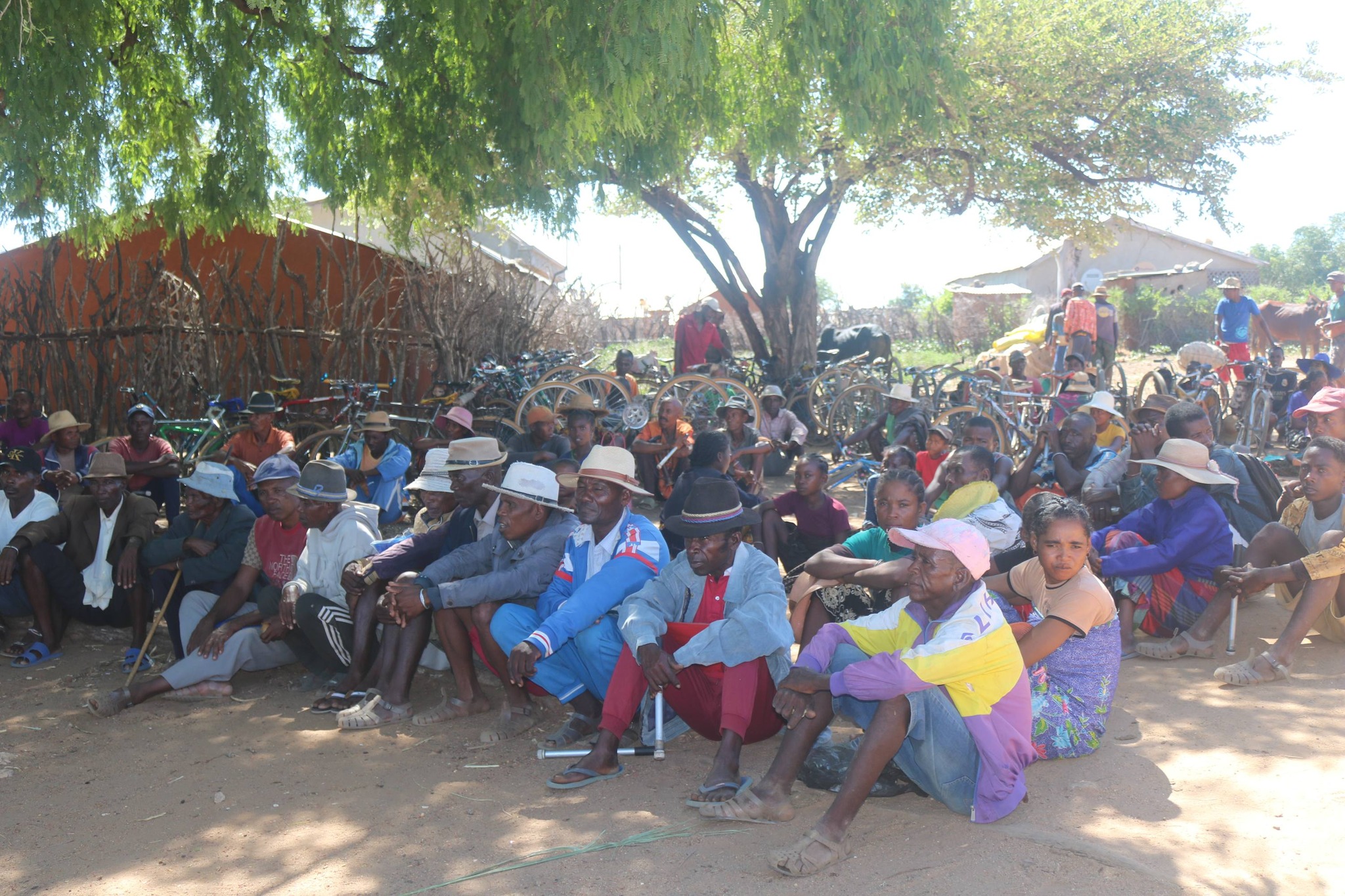 Image supplémentaire 14