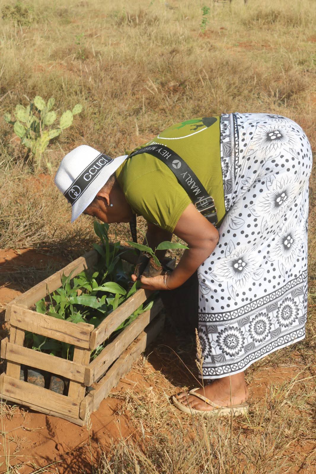 27 martsa 2026-IZAY MAMBOLY HAZO MANOME AINA