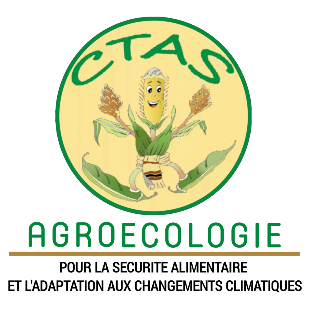 Logo CTAS