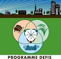 Logo DEFIS